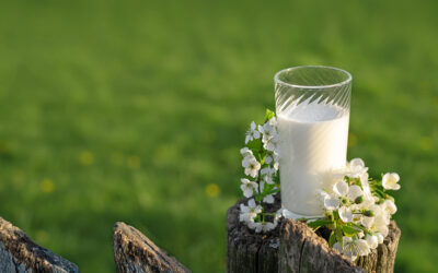 建立信任的背后|欧洲乳品行业的食品安全全链路守护